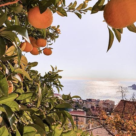 Apartman Lana Petrovac na moru Exterior foto