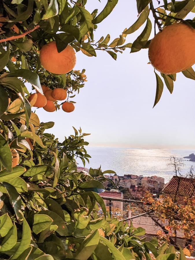 Apartman Lana Petrovac na moru Exterior foto